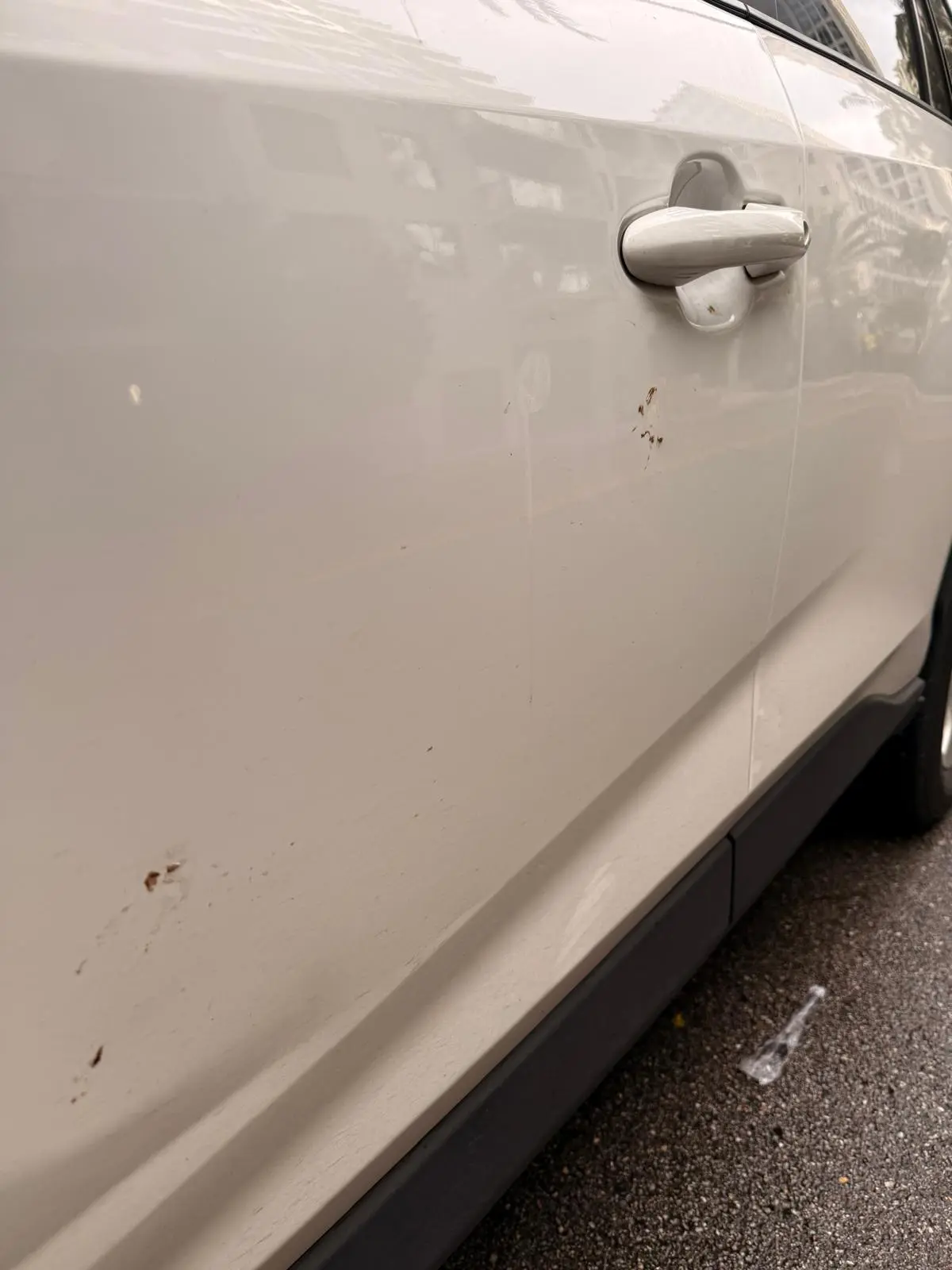Before hand wash — Toyota RAV4 in Fort Lauderdale, Route95 Mobile Car Detailing